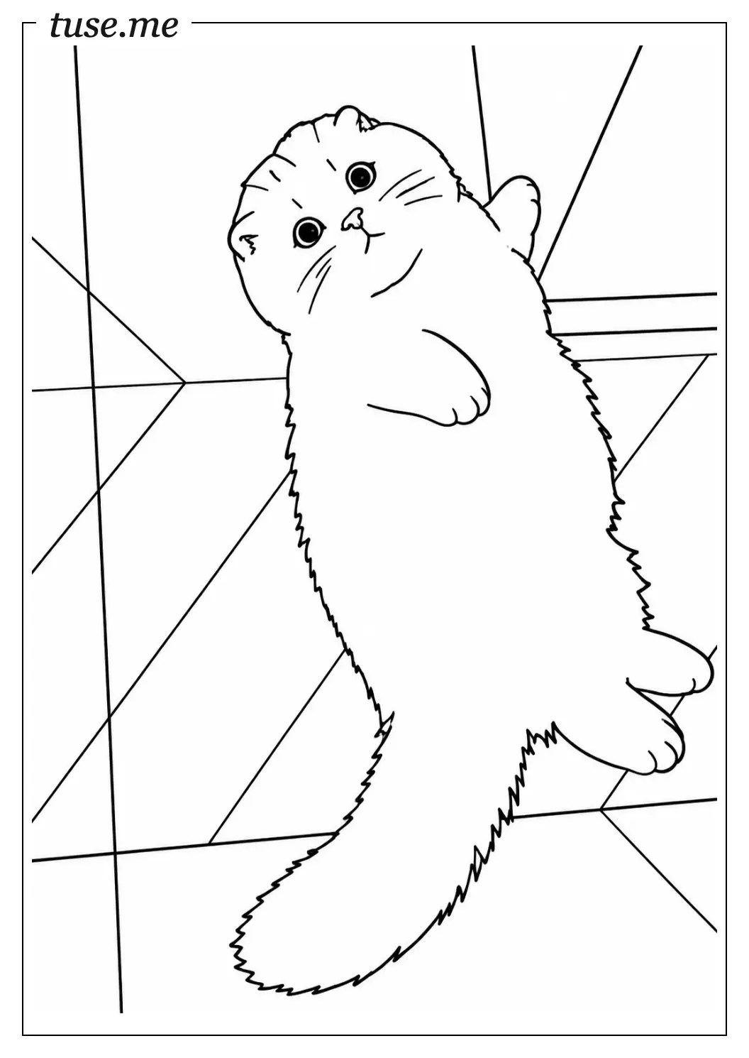 涂色画