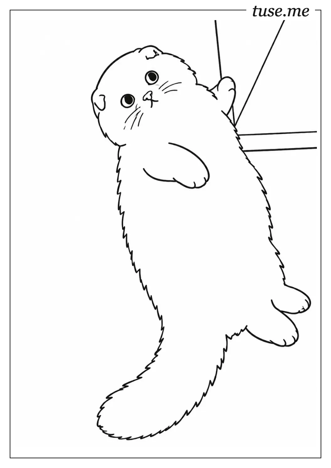 涂色画